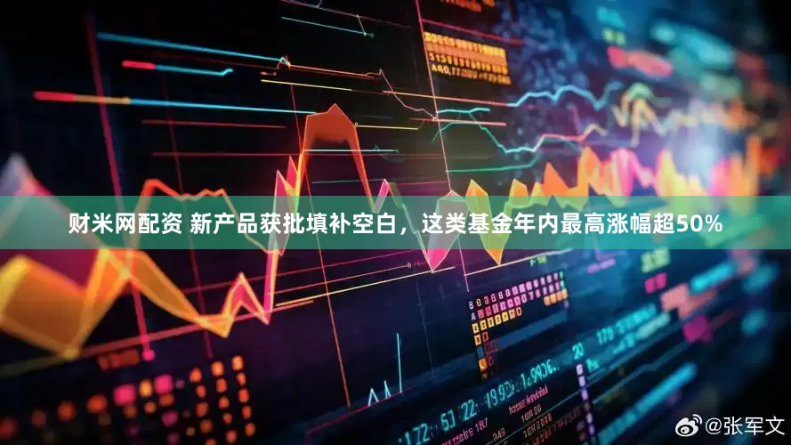财米网配资 新产品获批填补空白，这类基金年内最高涨幅超50%
