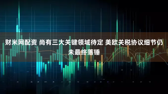 财米网配资 尚有三大关键领域待定 美欧关税协议细节仍未最终落锤